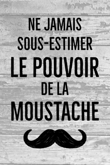 Moustache - ne jamais sous-estimer