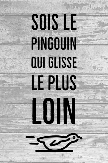 Pingouin - glisse le plus loin