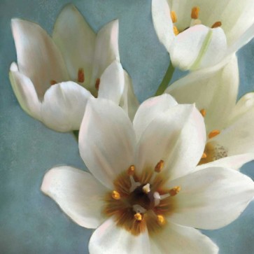 Janel Pahl - Lily Parfait II