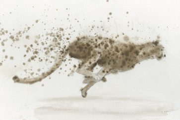 James Wiens - Cheetah v.2