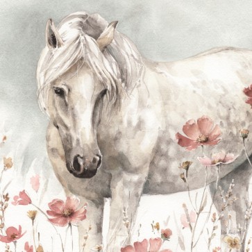 Lisa Audit - Wild Horses V