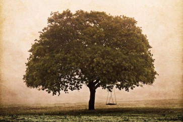 Debra Van Swearingen - The Hopeful Oak