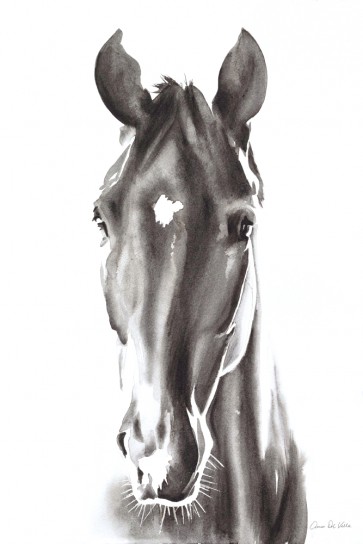 Aimee Del Valle - Le Cheval Noir