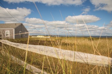Pela Studio - The Cottage