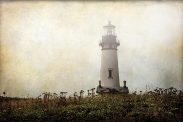 Debra Van Swearingen - Lonely Lighthouse II