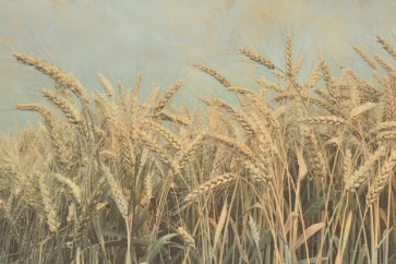 Ben Richard - Gold Harvest
