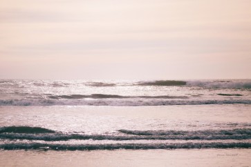 Laura Marshall - Kalaloch Coast II