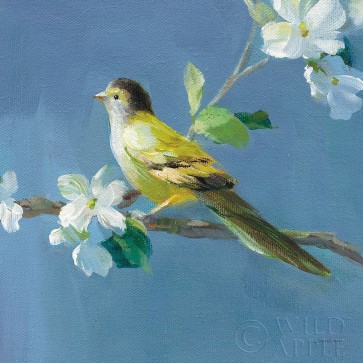 Danhui Nai - Spring in the Neighborhood V
