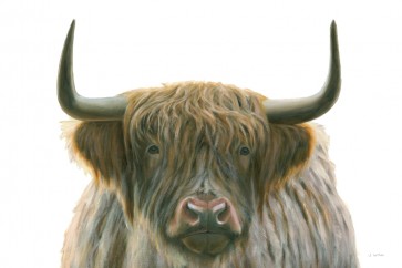 James Wiens - Highlander