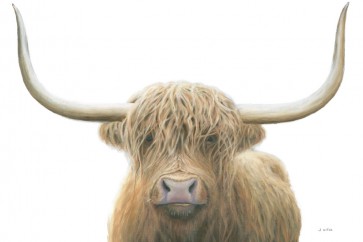 James Wiens - Highland Cow