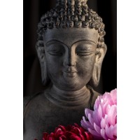 Darija Mile - Buddha Holding Lotus