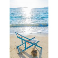 Jonathan James - A Chair and a Coconut at the Beach