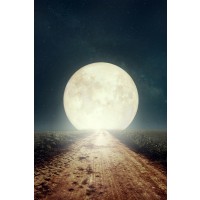 Full Moon in the Way