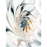 Alison Walton - Abstract White Flower