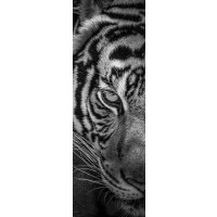 Tiger - Two Faces - Left