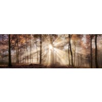 Theodor Climacus - Autumn Glowing Sunset