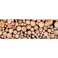 Eduardo Banks - Wood Log Festival