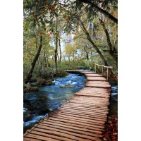 Renée Pehr - Forest River With Walkway IV