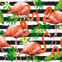 Flamingos