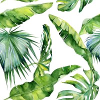 Tropical leaves
