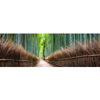 Tsunoi Masu - Japanese Bamboo Forest Bridge I