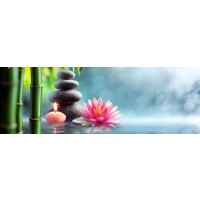 Omar Olavie - Pink Orchid with Black Stones