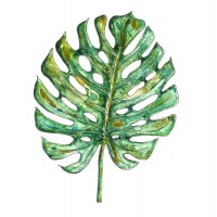 Tropical Leaf