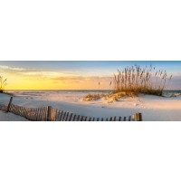 Doreen Sharp - Sunset View at the Beach