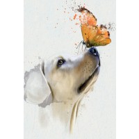Dog - Golden Retriever with Butterfly