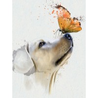 Dog - Golden Retriever with Butterfly