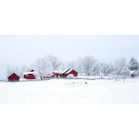 Codey Wicks - Winter - Red House Village II