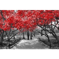 Bernardino Milano - Forest Path - That Walk At The Park