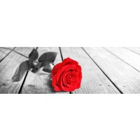 Rose Sanchez - Red Rose On The Jetty