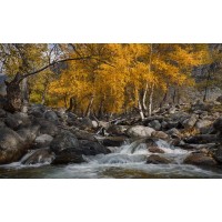 Fall - Quiet River by the House