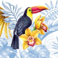 Tropical Tucans and Flowers