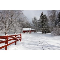 Codey Wicks - Winter - Footsteps to Red Farm
