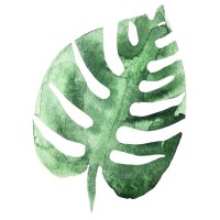 Tropical Leaf