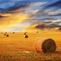 Farming - End of a tough Day