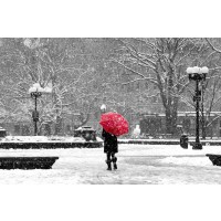 New York - Central Park - Winter Walk