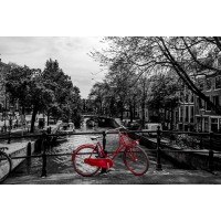 Keith Hardy - Amsterdam - Lone Bicycle