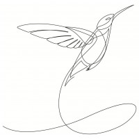 Line Art - Humming Bird - About To Take Off