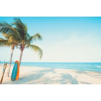 Anna McCormick - Surf Board on Tropical Beach