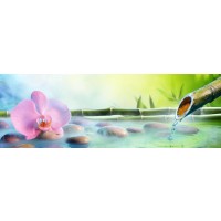 Omar Olavie - Zen Scene Featuring Orchid and Bamboo fountain