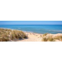 Lidia Maine - Beach Dune