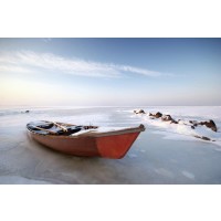 Fred Mouse - Red Row Boad - At The Shore