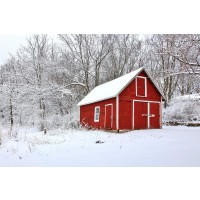 Codey Wicks - Winter - Lone Red Barn in the Forest