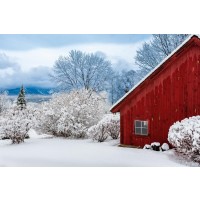 Codey Wicks - Winter - Lone Red Cabin With a Splendid View