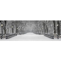New York - Central Park - Lonely Snowy Walk