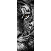 Tiger - Don't Make Me Roar - Two Faces