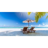 Dolores Flowers - Rest Chairs at the Tropical Beach